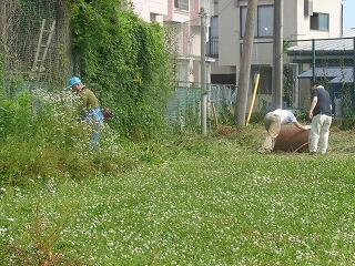 テニスコートの除草