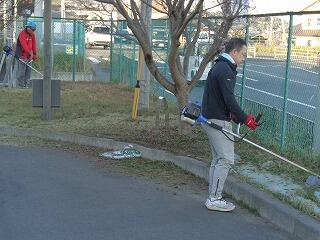 十月桜の近くもきれいに